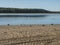 Sand beach at Strandstuvikens camping near Nykoping, Sweden with Barnacle goose birds. Shore of baltic sea bay with pine