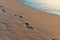 Sand beach, wave and footsteps at sunset