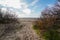 Sand beach wild access to french bassin Arcachon in southwest France city of Andernos les bains