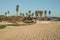 Sand beach, wooden boardwalk with walking people, palm trees and blue sky. Oceano, small beach town in California Central Coast