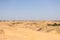 The sand in the biggest European desert. Summer. Oleshki, Kherson region in Ukraine. Concept of travelling, weekend, Kilometers of