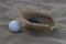 Sand Bowls sport