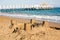 Sand Castle on Beach