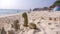 sand castle on the beach, coral ejected by the sea to shore, an unrecognizable family walks on a public beach. 4k, blur