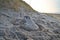 Sand castle with shells and sand. Moat around the castle in front of dunes. Denmark