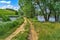 Sand-clay two-lane dirt road between two ponds. Beautiful natural landscape with dam among forest lakes and bright young greenery