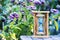 Sand clock on the background of zinnia flowers covered with frost _