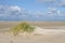 Sand Couch on small dune