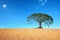 Sand desert with big tree in blue sky