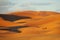 Sand desert dune and camels in Sahara at sunset