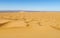 Sand desert dunes panorama