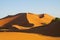 Sand desert dunes panorama at sunset