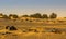 Sand desert sets in, desert cemetery, sahara, morocco