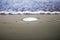 Sand Dollar Resting On Beach