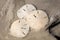 Sand dollars washed by gentle waves