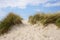 Sand dune at baltic seaside
