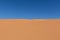 Sand dune and blue sky without clouds. Sahara Desert, Morocco. Travel photo.