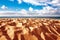 Sand dune of Bolonia beach, province Cadiz, Andalucia, Spine