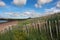 Sand dune conservation fence and wild grass planting in ireland