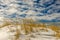 Sand Dune Covered with Snow and Golden Grasses