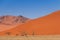 Sand dune with dead trees deadvlei Namibia