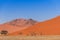 Sand dune with dead trees deadvlei Namibia