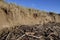 Sand dune erosion and driftwood