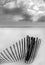 Sand Dune Fence on Beach