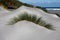 Sand dune with grass shaped like an eye brow