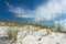 Sand dune and grasses under pretty blue sky