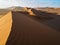 Sand dune ridge in vast desert