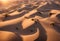 a sand dune ripples dry remote desert outdoors dunes isolated scenery arid climate wilderness extreme sunny sandy horizon climate