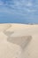 Sand dune Santa MÃ³nica beach Boa Vista