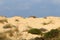 Sand dune on the shores of the Mediterranean Sea in northern Israel