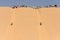 Sand dune sledging in Kubuqi desert in Inner Mongolia, China