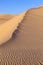 Sand dune in sunrise in the desert