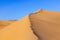 Sand dune in sunrise in the desert