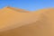 Sand dune in sunrise in the desert