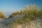 Sand dune with view to ocean