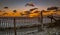 Sand Dune, Wind Fence and the Sunrise