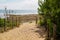 Sand dunes access to ocean beach in atlantic in west coast France