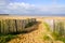 Sand dunes access to sandy beach in Chatelaillon-Plage near La rochelle France