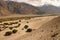 Sand Dunes along Wakhan Corridor. Panj river and Pamir mountains. Panj is upper part of Amu Darya river. Panoramic view.