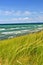 Sand dunes at beach