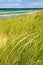 Sand dunes at beach