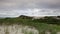 Sand dunes beach on the Cape Cod