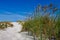 Sand dunes with beach grass