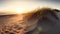 Sand dunes on the beach at sunset,  Baltic sea, Poland