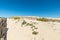 Sand dunes in Carcans, near Lacanau in France