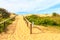 Sand dunes, Curl Curl beach